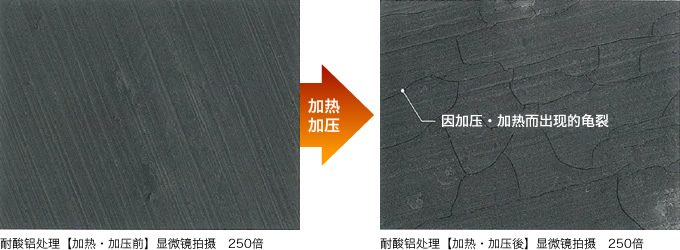 耐酸铝处理显微镜拍摄  250倍