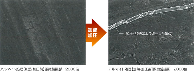 アルマイト処理顕微鏡撮影 2000倍